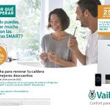 descuento 250€ vaillant